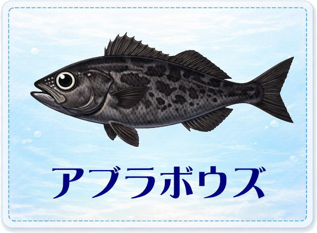 さかな占い_アブラボウス