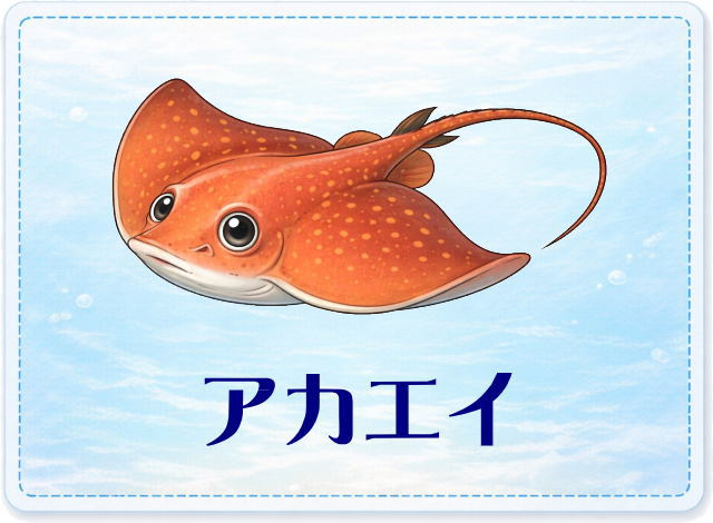 さかな占い_アカエイ