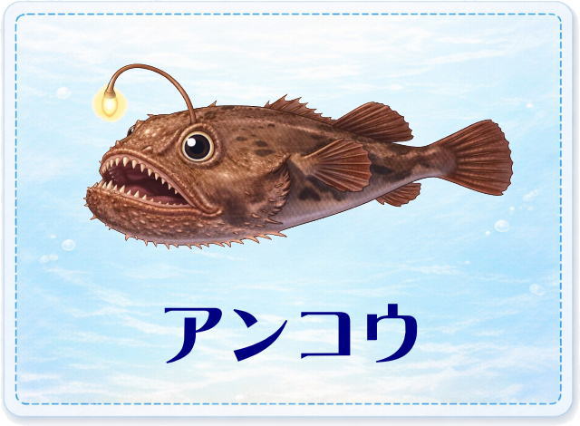 さかな占い_アンコウ