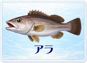 さかな占い_アラ
