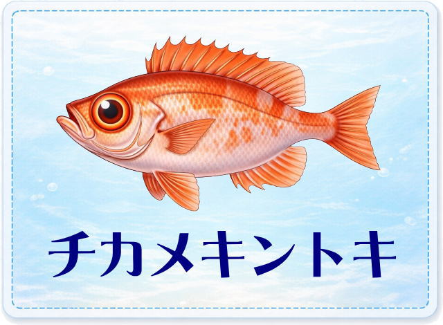 さかな占い_チカメキントキ