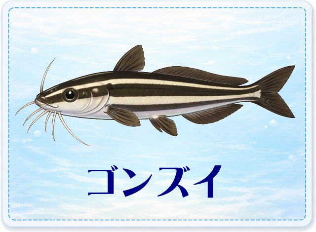 さかな占い_ゴンズイ