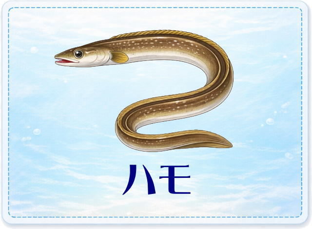 さかな占い_ハモ
