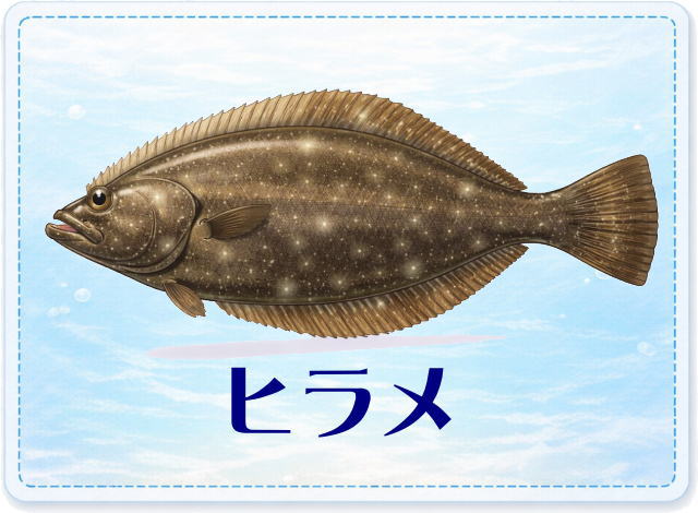 さかな占い_ヒラメ