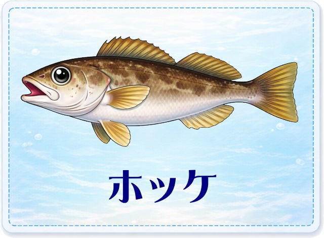 さかな占い_ホッケ