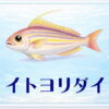 さかな占い_イトヨリダイ