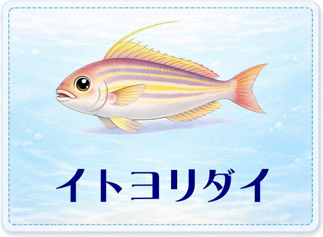 さかな占い_イトヨリダイ