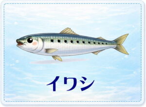 さかな占い_イワシ