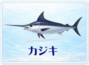 さかな占い_カジキ