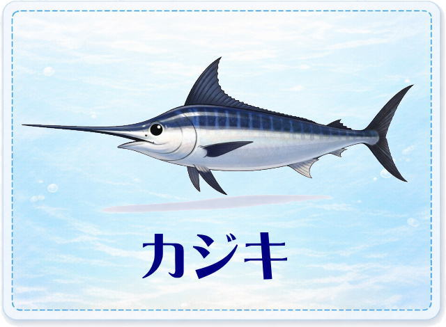 さかな占い_カジキ