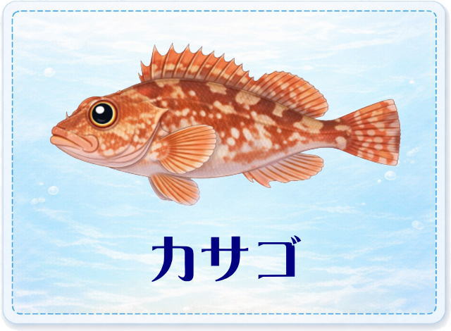 さかな占い_カサゴ
