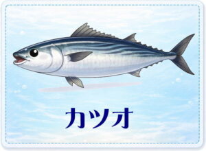 さかな占い_カツオ
