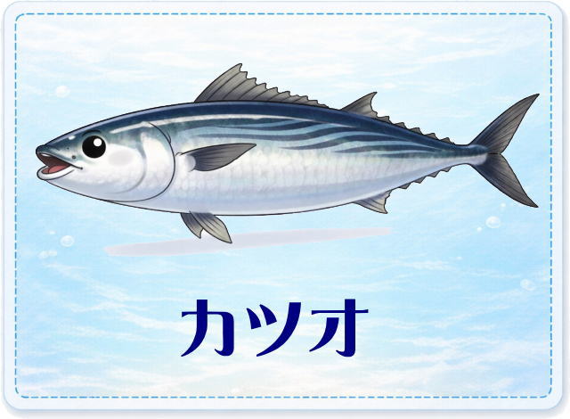 さかな占い_カツオ