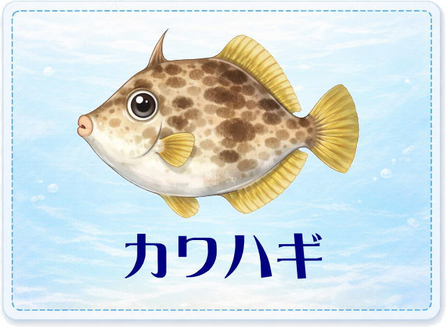 さかな占い_カワハギ