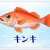 さかな占い_キンキ