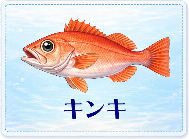 さかな占い_キンキ