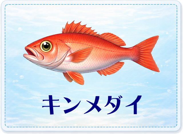さかな占い_キンメダイ