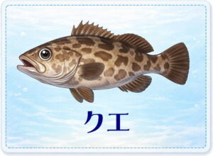 さかな占い_クエ