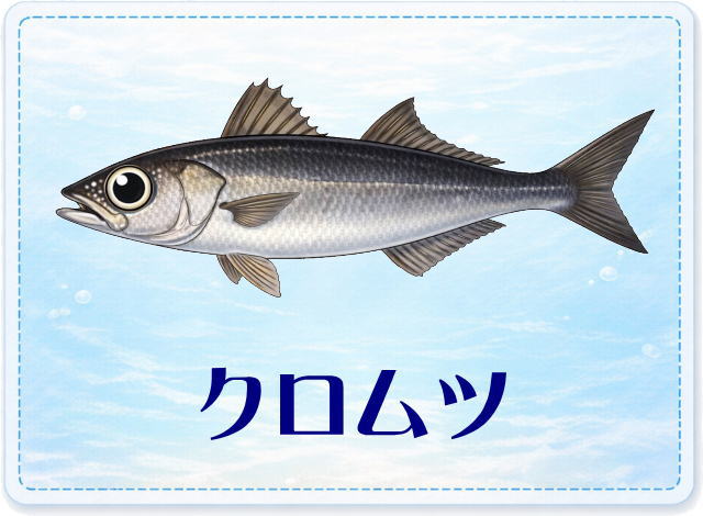 さかな占い_クロムツ