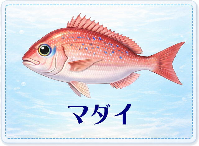 さかな占い_マダイ