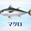 さかな占い_マグロ