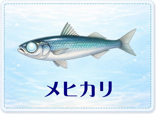 さかな占い_メヒカリ