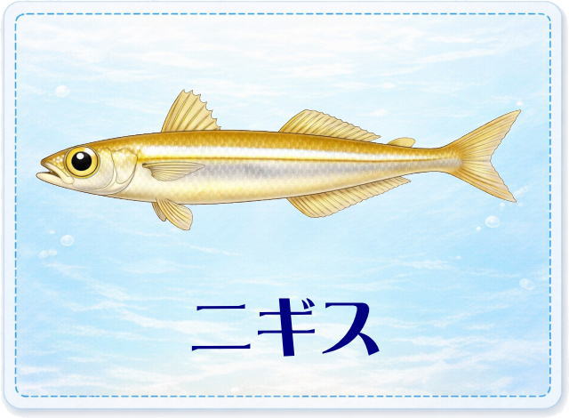 さかな占い_ニギス