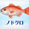 さかな占い_ノドグロ