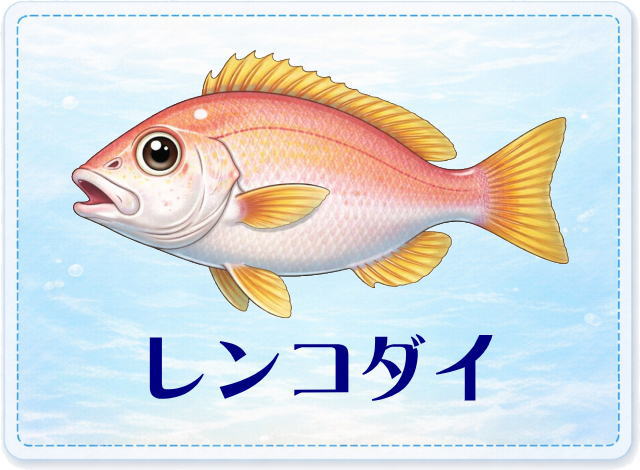 さかな占い_レンコダイ