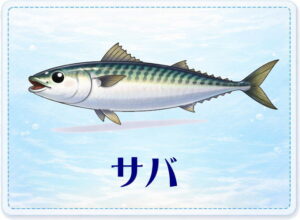 さかな占い_サバ