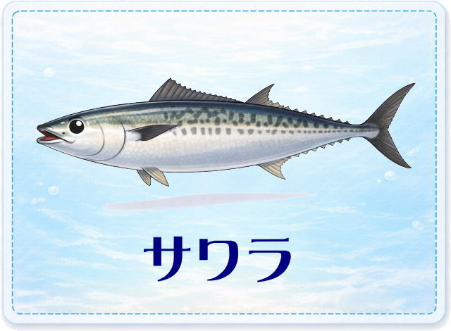 さかな占い_サワラ
