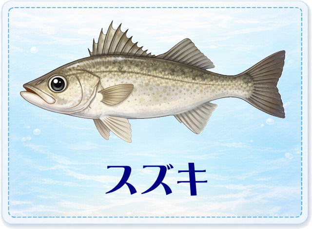 さかな占い_スズキ
