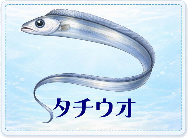 さかな占い_タチウオ