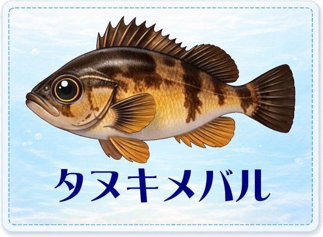 さかな占い_タヌキメバル