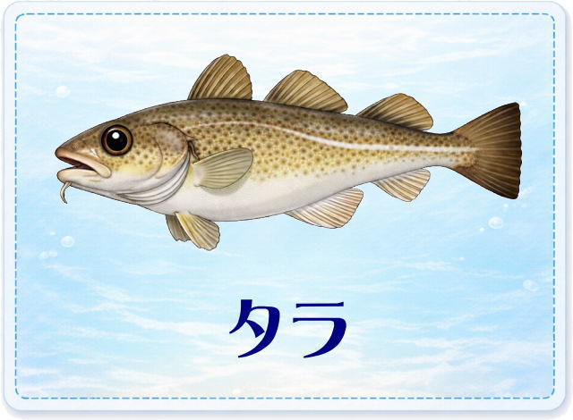 さかな占い_タラ