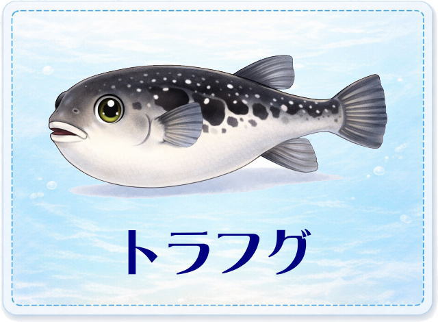 さかな占い_トラフグ