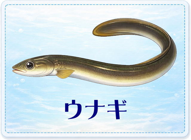 さかな占い_ウナギ