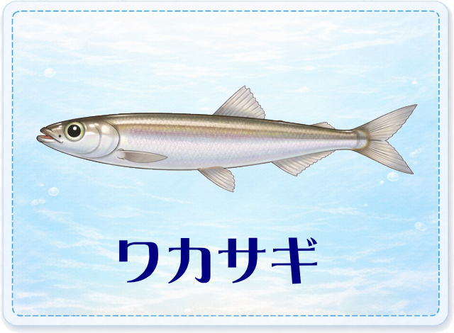 さかな占い_ワカサギ