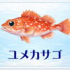さかな占い_ユメカサゴ