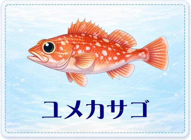 さかな占い_ユメカサゴ